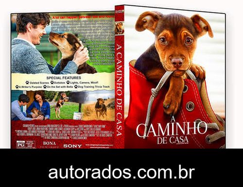 A Caminho de Casa (2019) DVD-R OFICIAL –