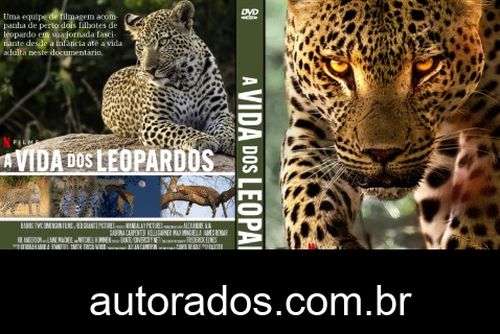 A Vida dos Leopardos (2024) DVD-R AUTORADO –