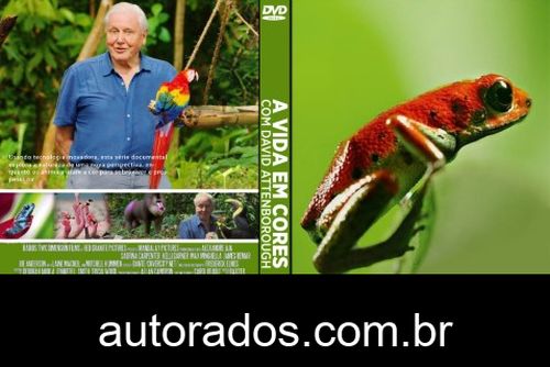 A Vida em Cores com David Attenborough 1ª Temporada Completa (2021) DVD-R AUTORADO –