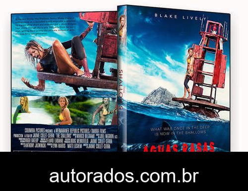 Águas Rasas (2016) DVD-R DVD-R OFICIAL –