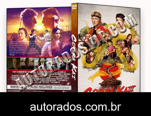 Cobra Kai 3ª Temporada Completa (2021) DVD-R AUTORADO –