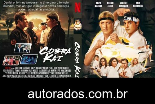 Cobra Kai 6ª Temporada (2024) DVD-R AUTORADO –