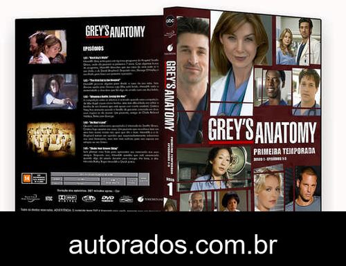 Grey’s Anatomy 1ª Temporada Completa (2006) DVD-R AUTORADO –
