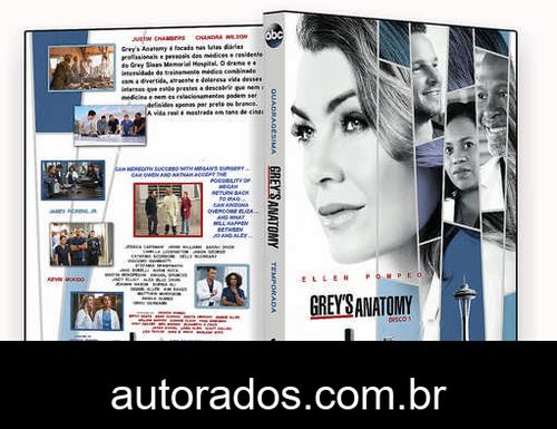Grey’s Anatomy – 14ª Temporada Completa (2018) DVD-R AUTORADO –