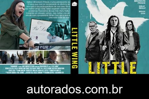 Little Wing (2024) DVD-R AUTORADO –