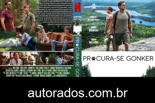 Procura-se Gonker (2023) DVD-R AUTORADO –