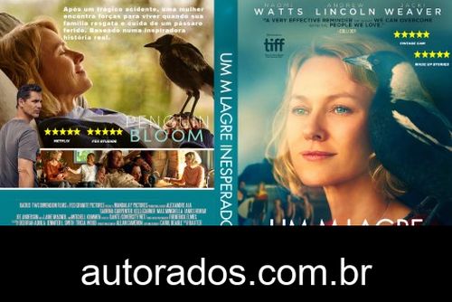 Um Milagre Inesperado (2021) DVD-R AUTORADO –